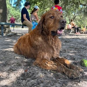 Meet your Posher, Erika